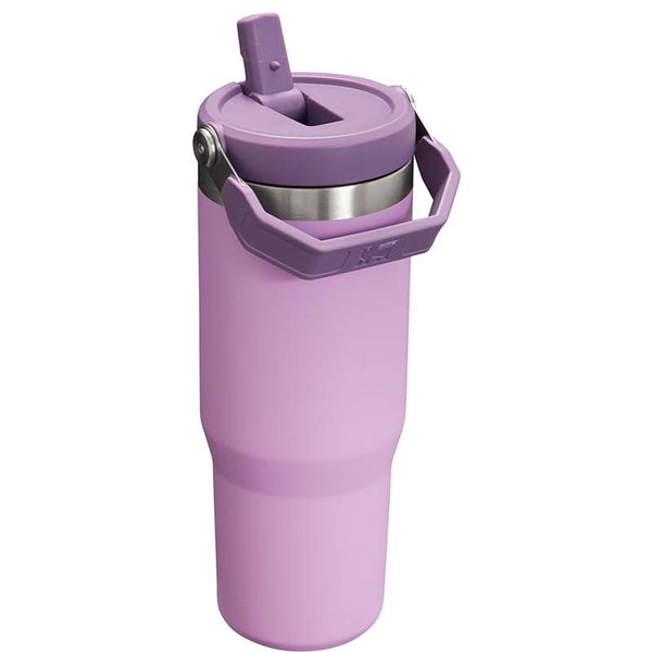 stanley ice flow 30 lavender Stanley The 30oz IceFlow Flip Straw Tumbler in Lilac