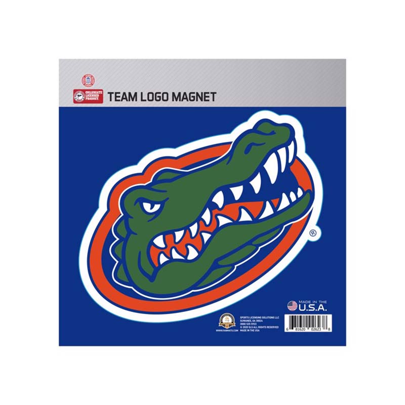 Florida Large Team Logo Magnet
