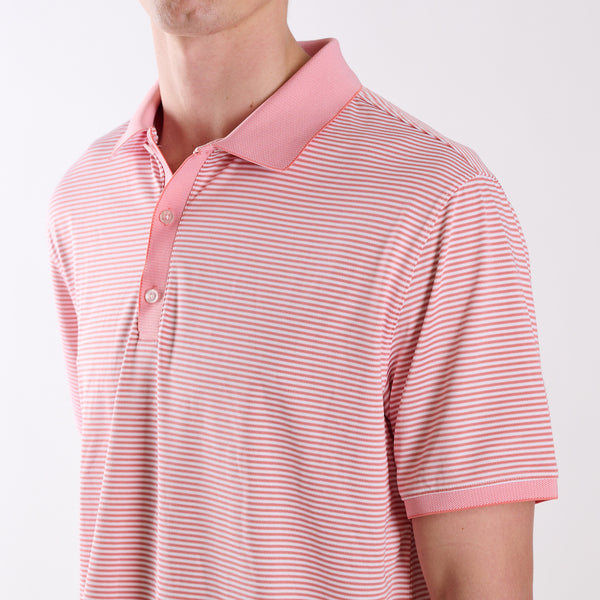 COAST Terracotta Slipknot Stripe Polo | Palmetto Moon