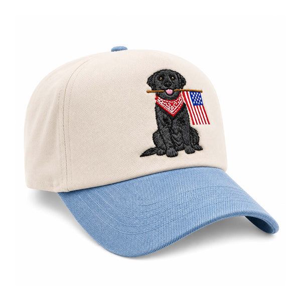 Worn West Patriotic Black Lab Hat | Palmetto Moon display picture 1