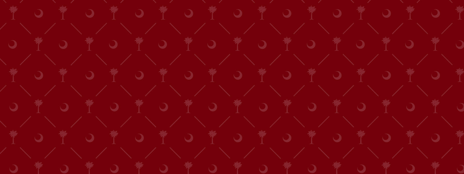 University of South Carolina