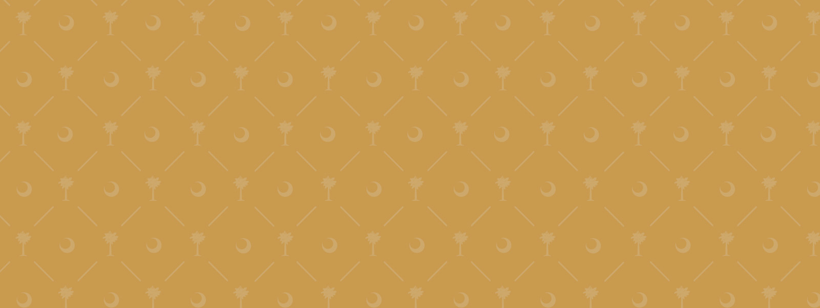 Vanderbilt Commodores