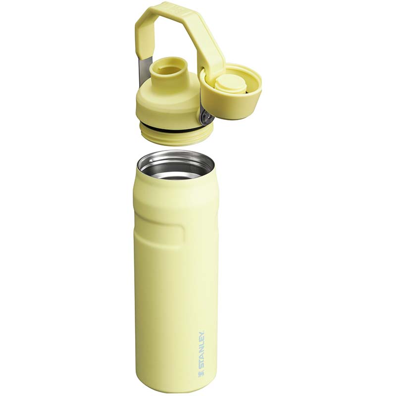 24oz Iceflow™ Bottle with Fast Flow Lid in Pomelo