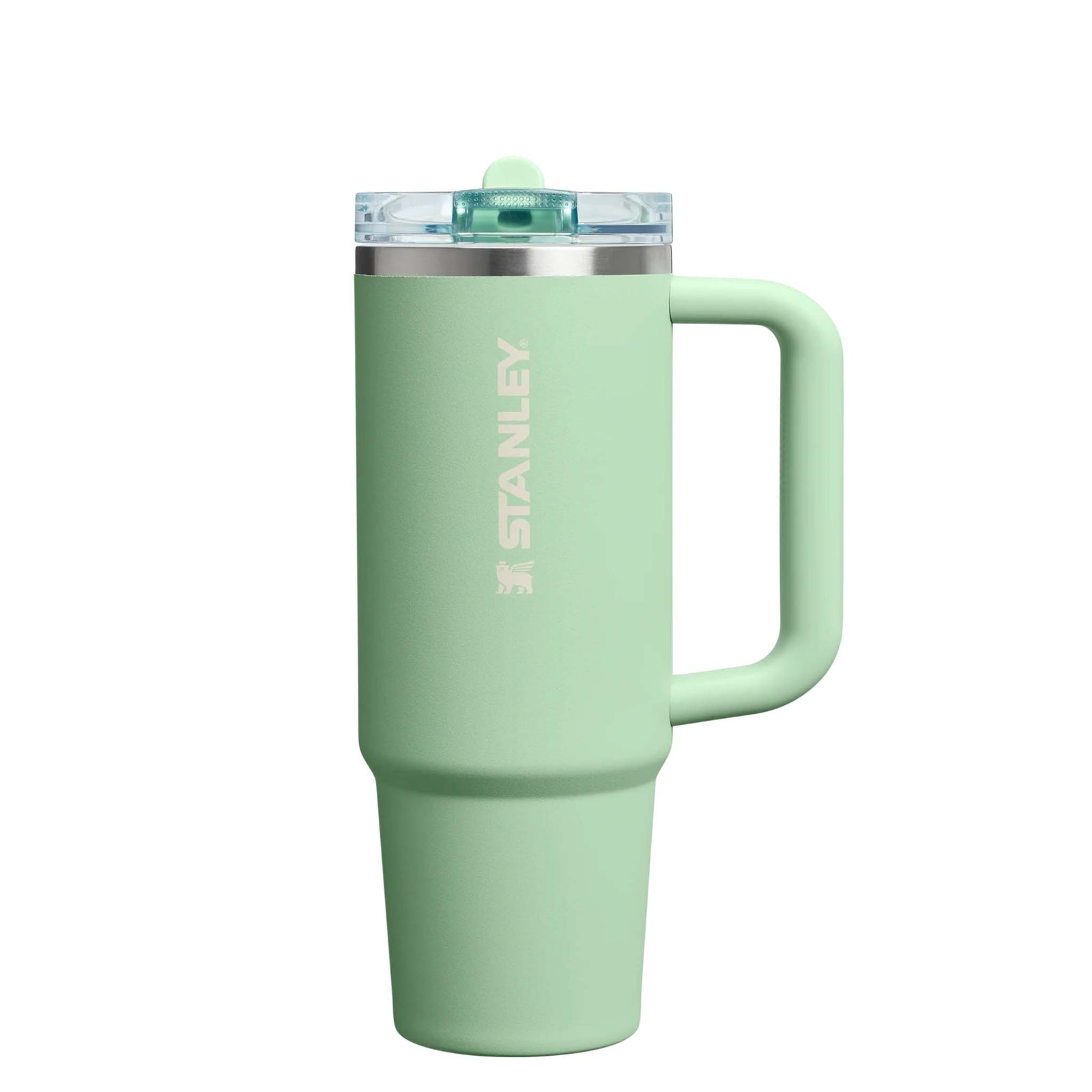 Stanley Quencher H2.0 FlowState Tumbler in Pistachio with side handle, clear lid, and logo on the front.