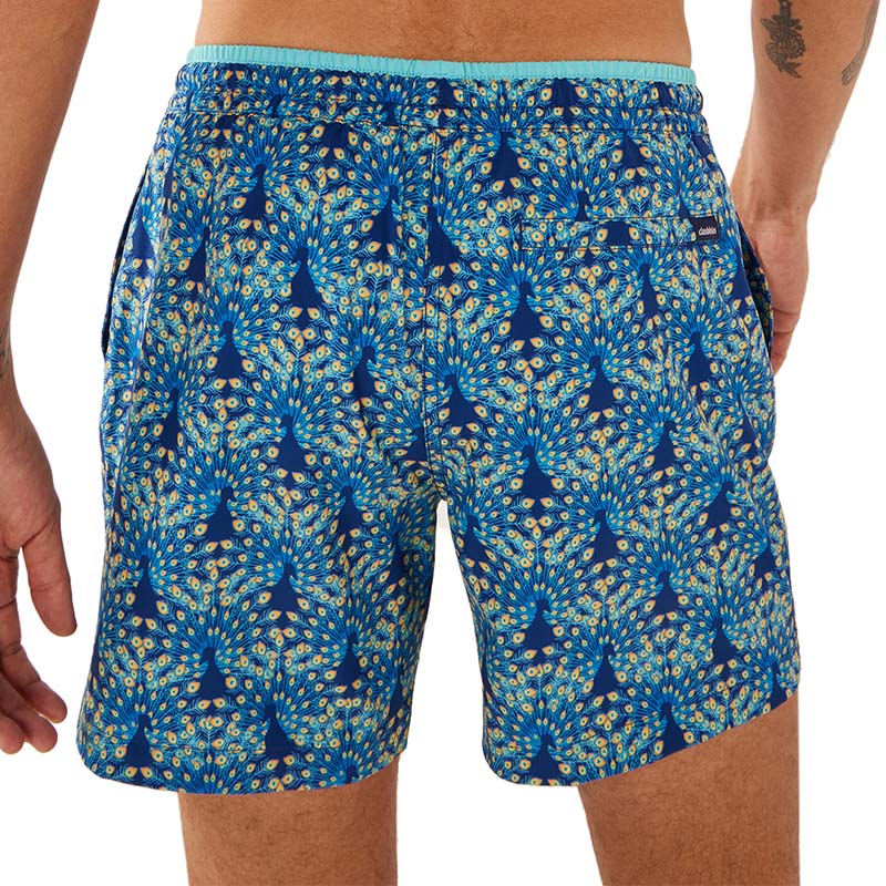 The Fan Out Lined 5.5 inch Swim Shorts