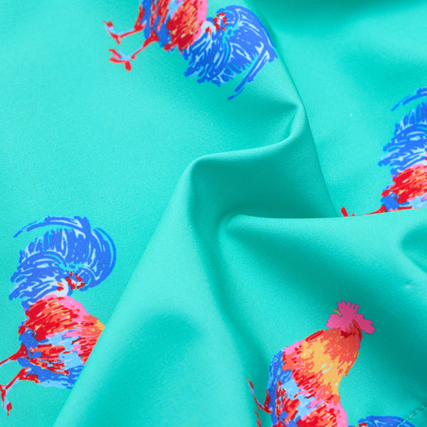 The Cockadoodle Doozies 5.5 Inch Lined Swim Shorts