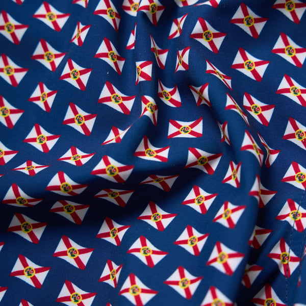 The Sunshine State Forida Flag 5.5 Inch Lined Swim Shorts