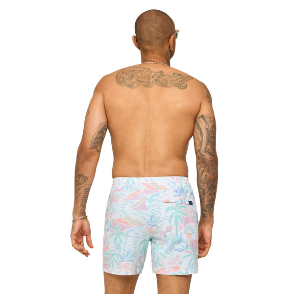 The Washed Ashores 5.5 Inch Lined Swim Shorts