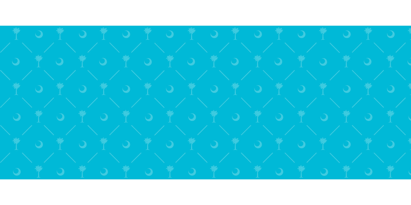 Athleisure Women's Workout Tops & Leggings Palmetto Moon