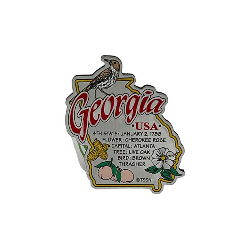 Georgia Map History Magnet