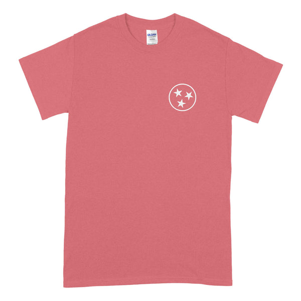  Back of light gray short sleeve t-shirt with large distressed pink circle and three white stars inside.