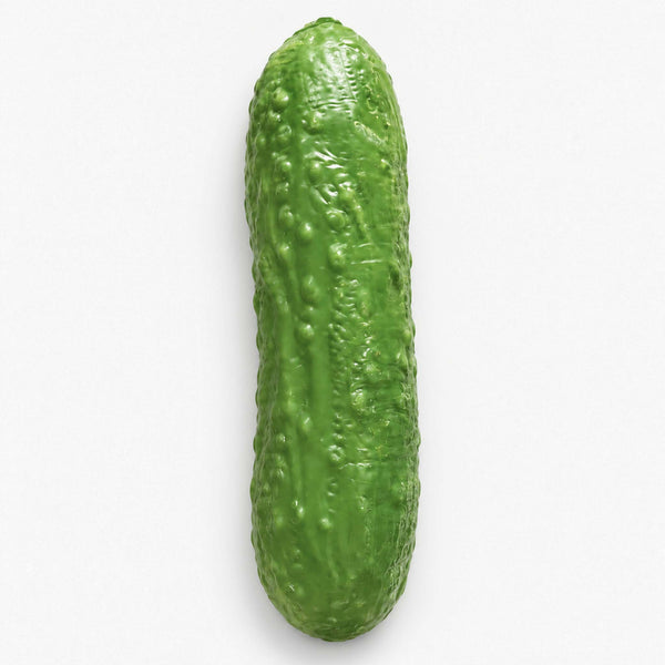 Giant Pickle Squishy