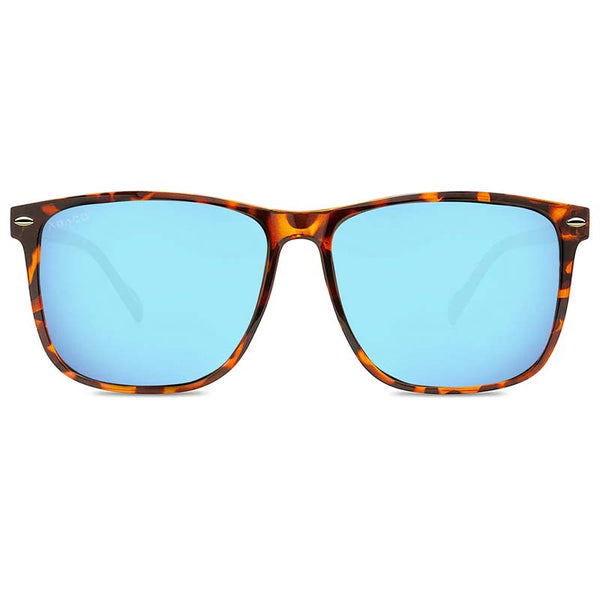 Jesse Tortoise and Blue Caribbean