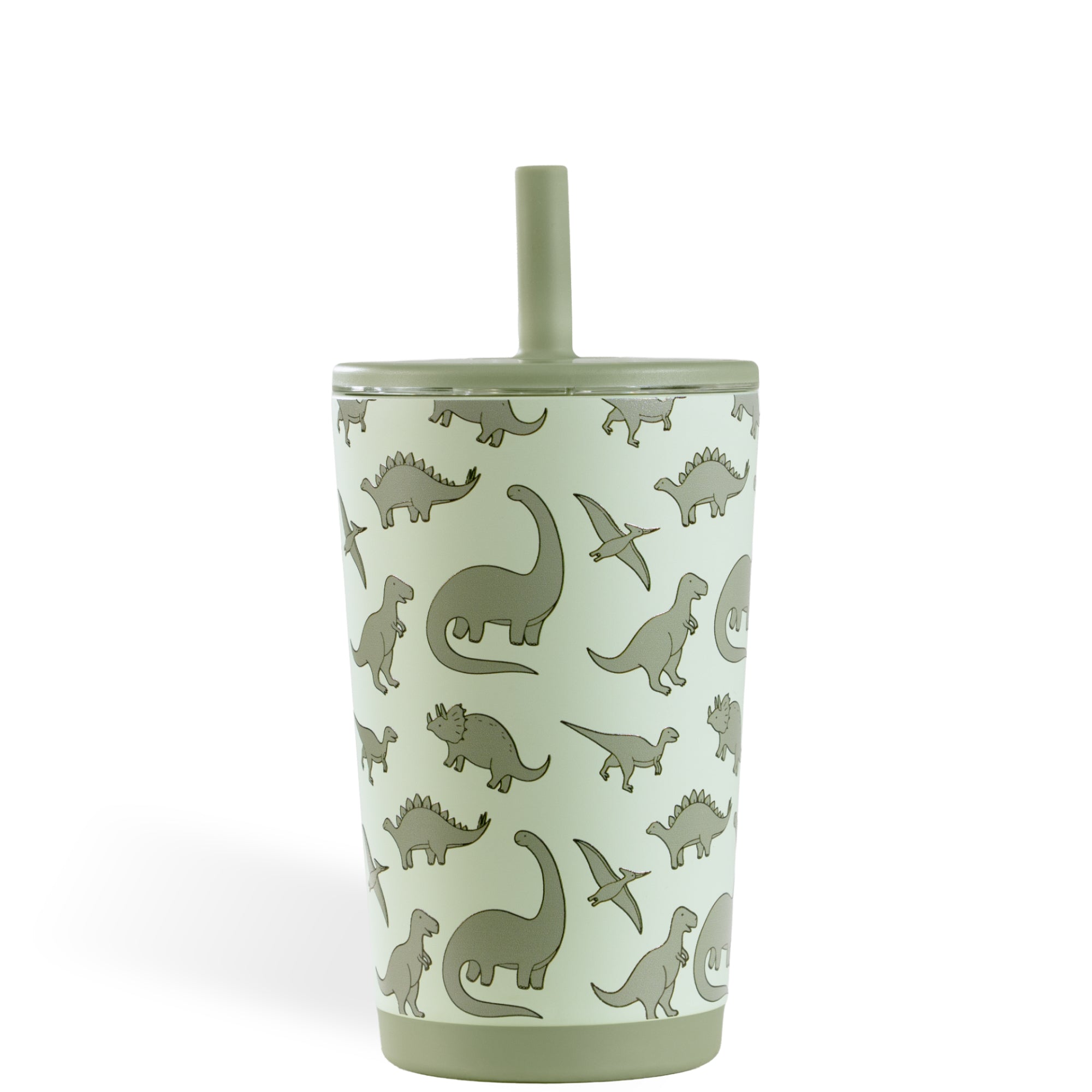 HydroJug Everyday 14oz Tumbler in Dinosaur | Palmetto Moon