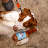 Shop pet accessories 