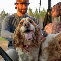 shop pet accessories