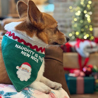 Shop pet toys and accessories at Palmetto Moon.