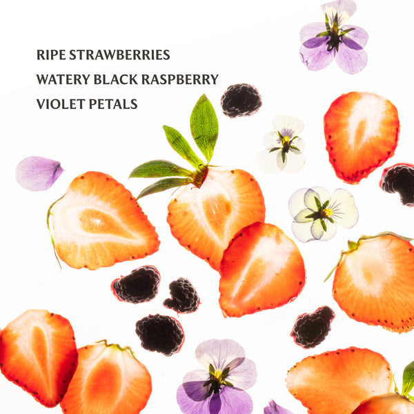 Berry Bliss 30ml Power Mist Hand Sanitizer