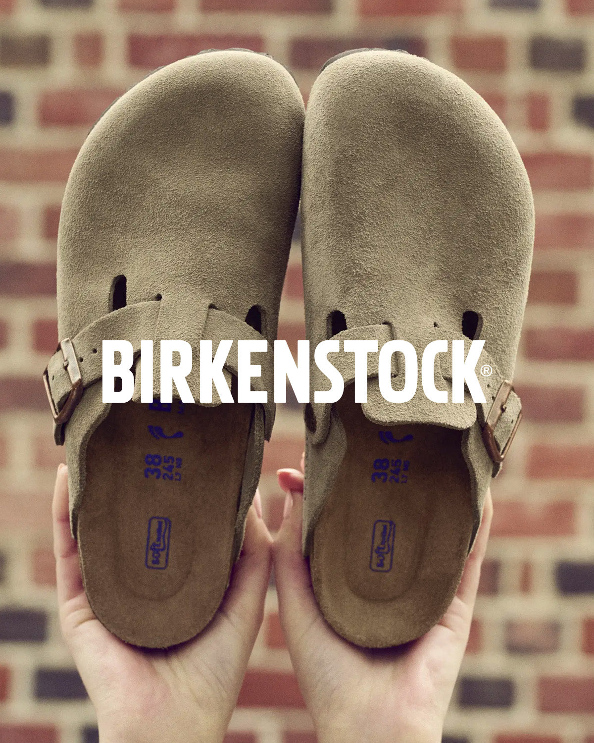 shop birkenstock