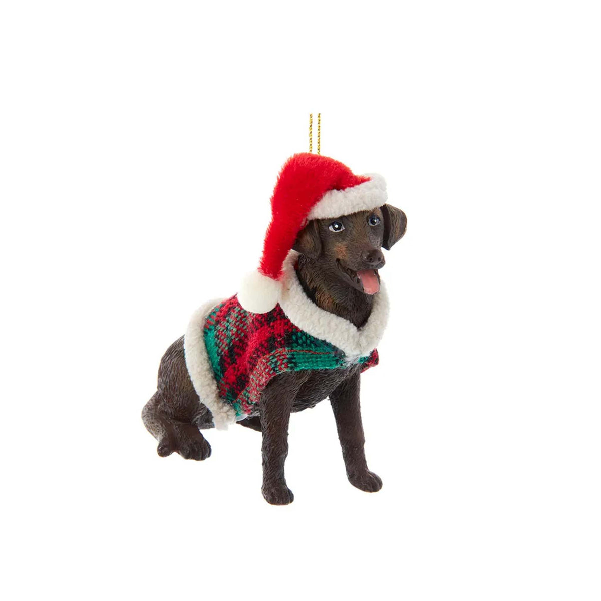 Chocolate Lab with plaid Coat Ornament 