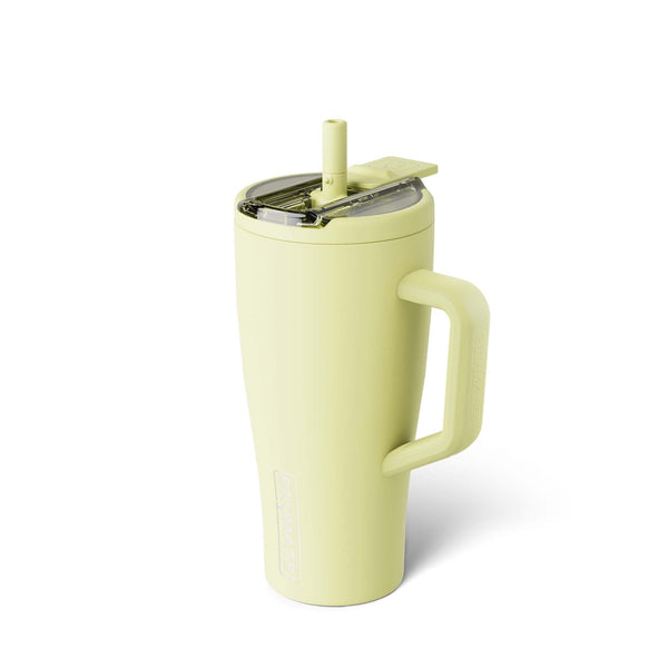 30oz Era Flip Handled Tumbler in Prickly Pear
