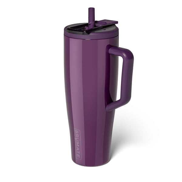 40oz Era Handled Tumbler in Plum Gloss