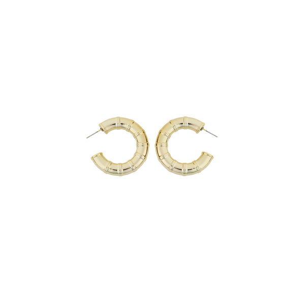 Pannee Group gold bamboo post back hoop earrings with textured bamboo-inspired design, shown front-facing on a white background.