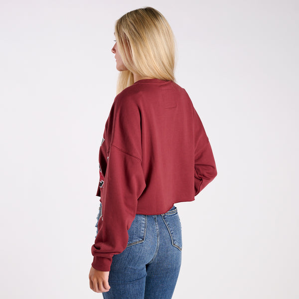 South Carolina Gamecocks Vintage Collage Cropped Sweatshirt