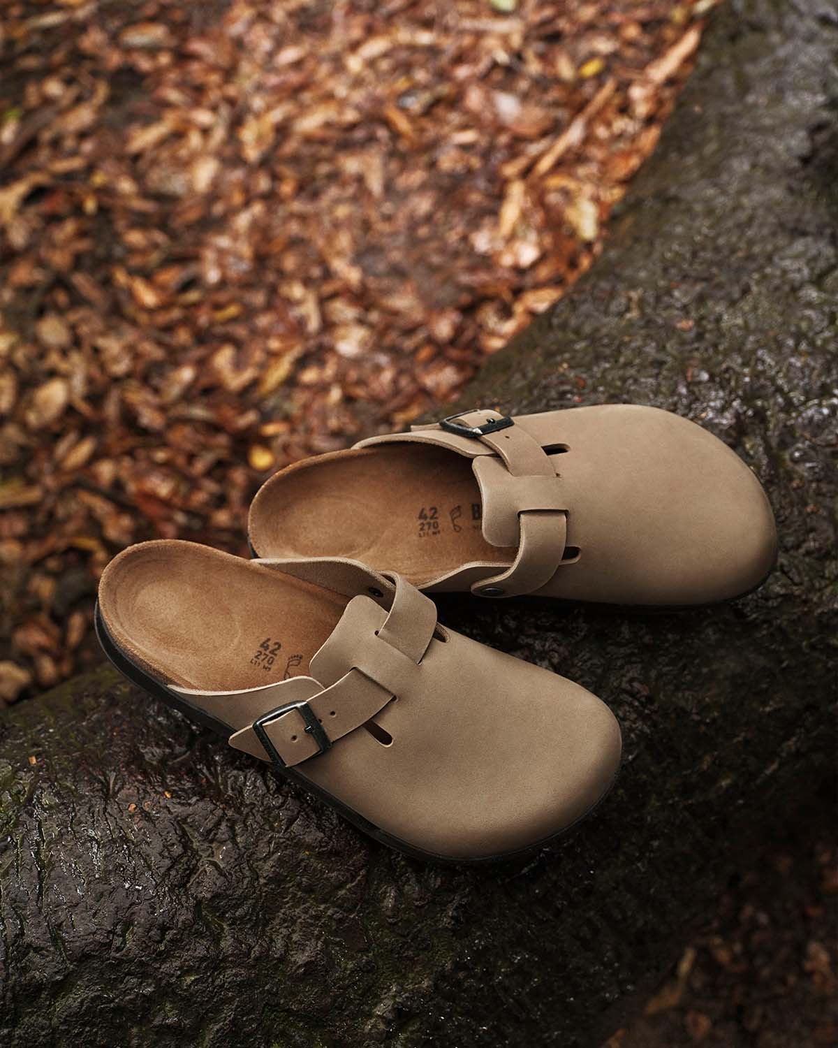 Shop shoes at Palmetto Moon.