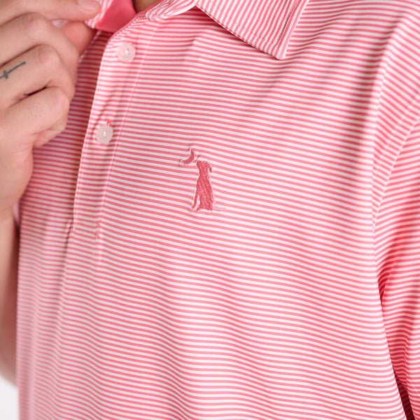 Palms Striped Polo in Starburst