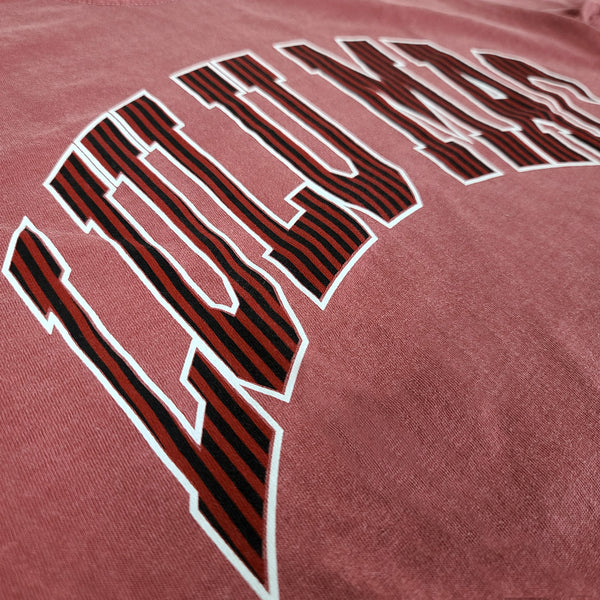 Lulu Mac Striped Short Sleeve T-Shirt in Garnet and Black