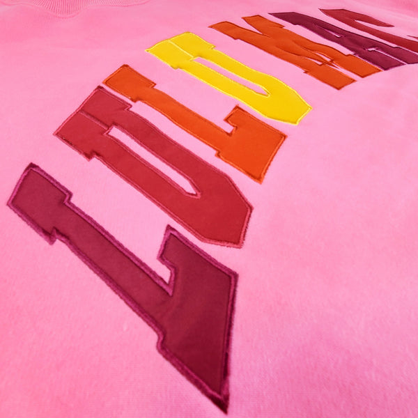 Lulu Mac Multi Color Applique Crewneck Sweatshirt in Pink