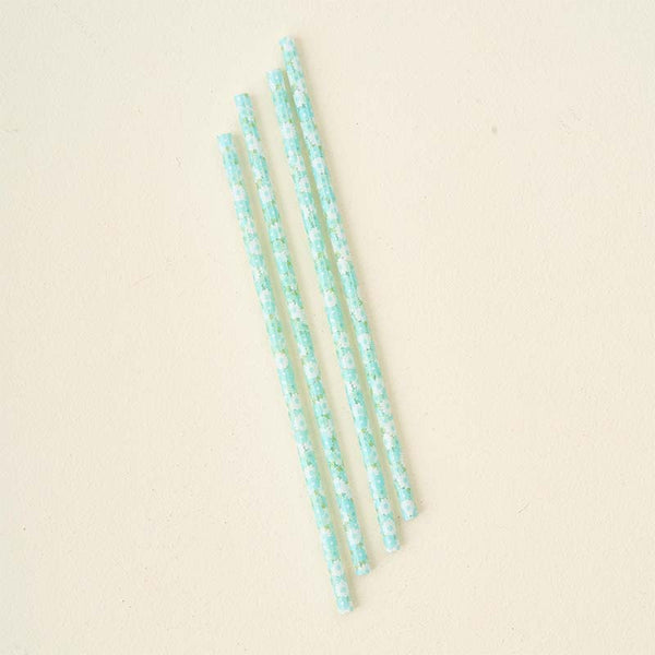 Daisy Craze Aqua 40oz Straw Set