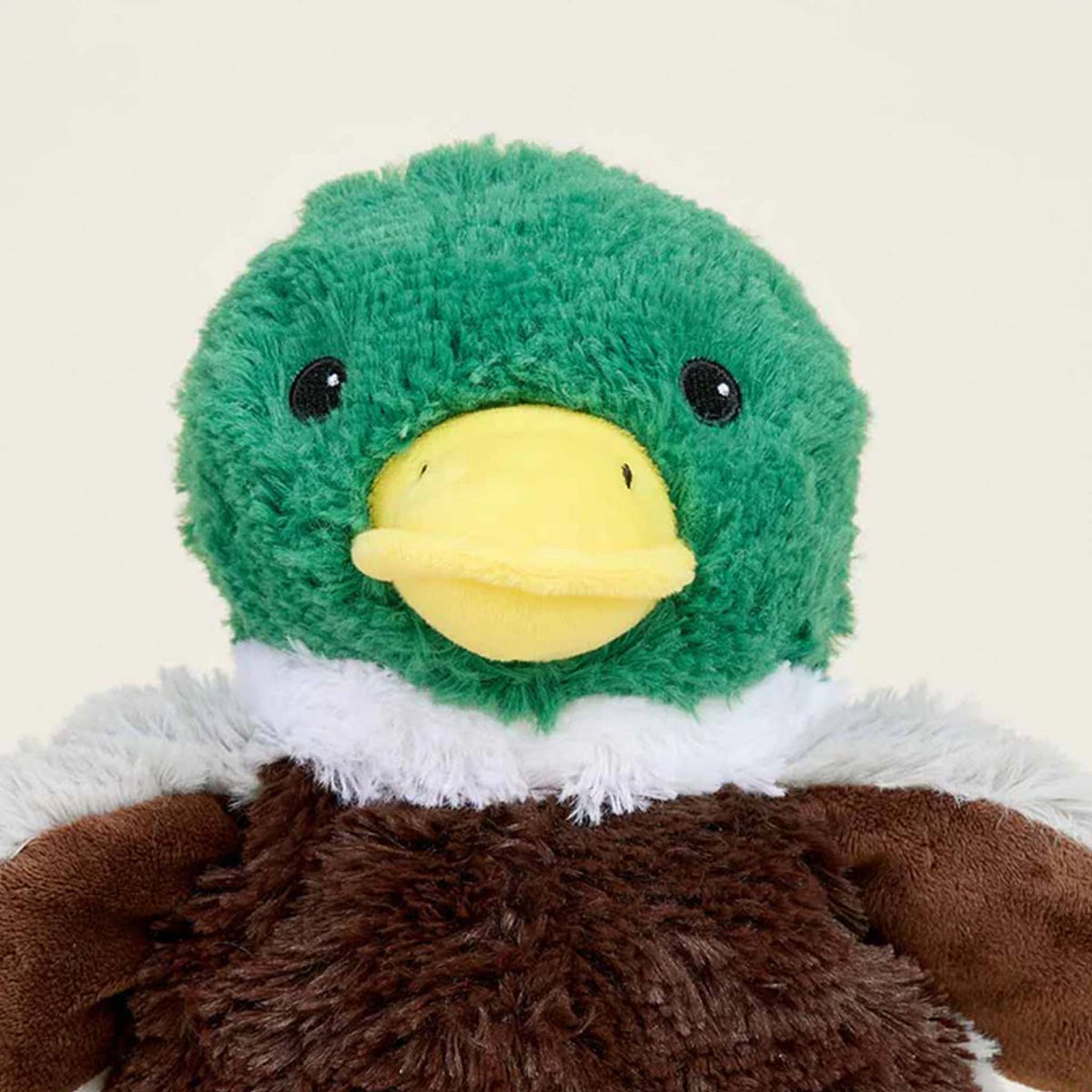 Close up of Warmies mallard plush duck.
