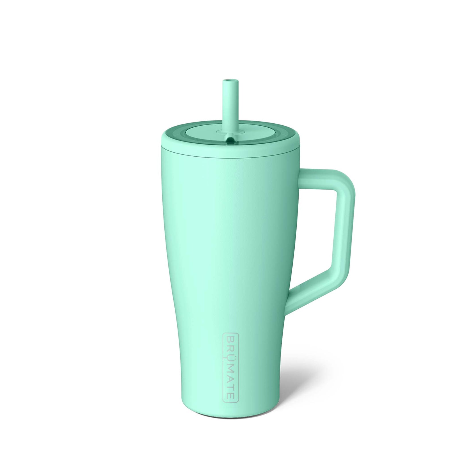 30oz Era Handled Tumbler in Mint