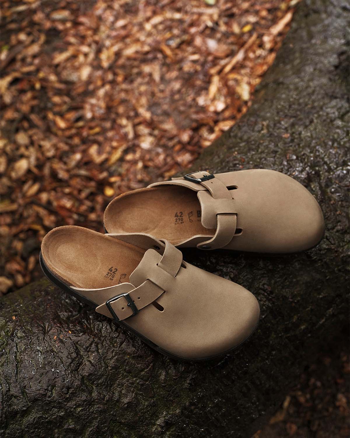 Shop shoes at Palmetto Moon.