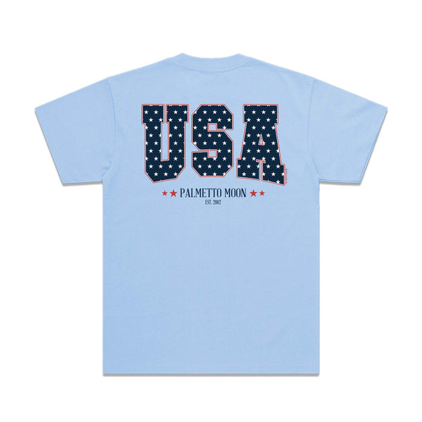 Youth Star Filled USA Short Sleeve T-Shirt in Light Blue