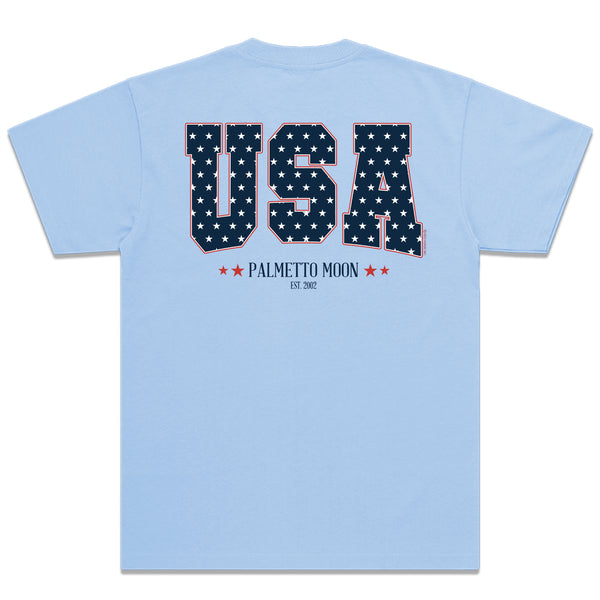 Star Filled USA Short Sleeve T-Shirt in Light Blue