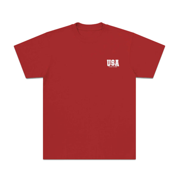 Youth Star Filled USA Short Sleeve T-Shirt in Red