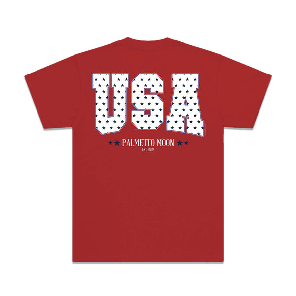 Youth Star Filled USA Short Sleeve T-Shirt in Red