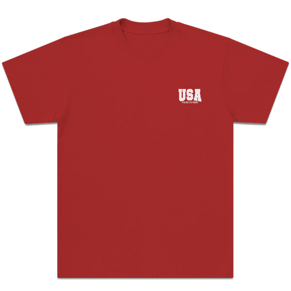 Star Filled USA Short Sleeve T-Shirt in Red