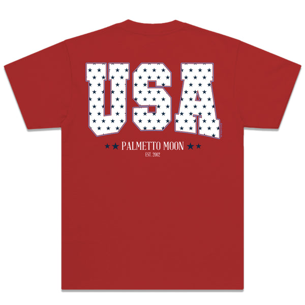 Star Filled USA Short Sleeve T-Shirt in Red