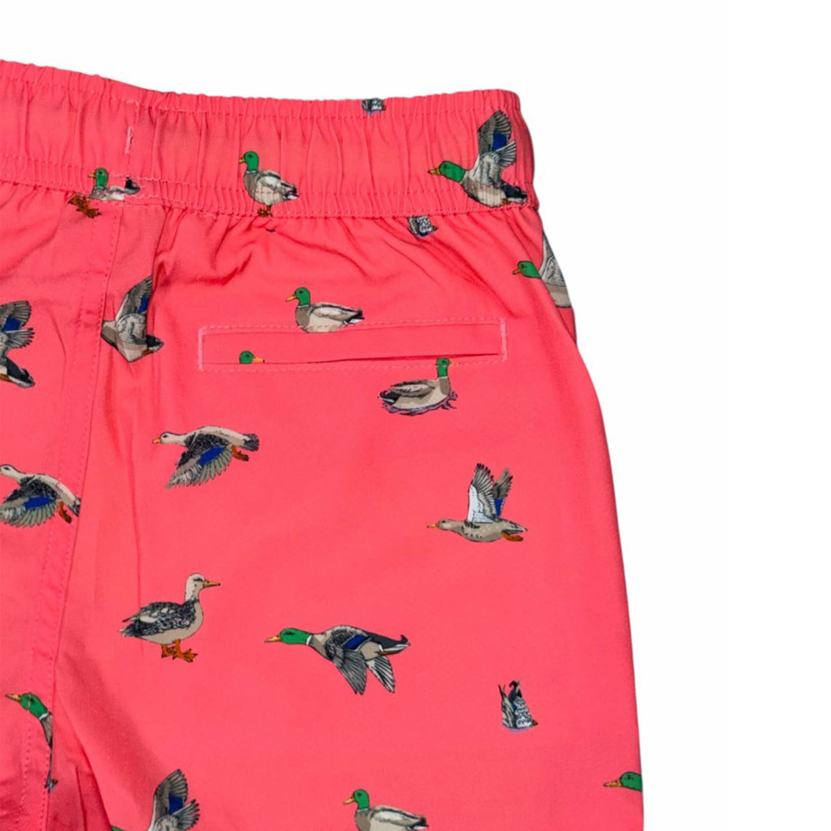 Coral swim shorts with duck pattern on a white background