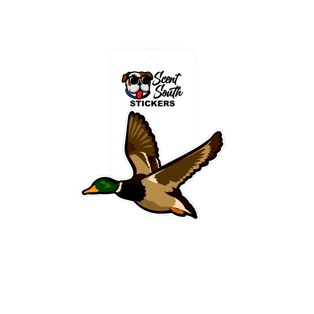 Scent south decal of a mallard in flight