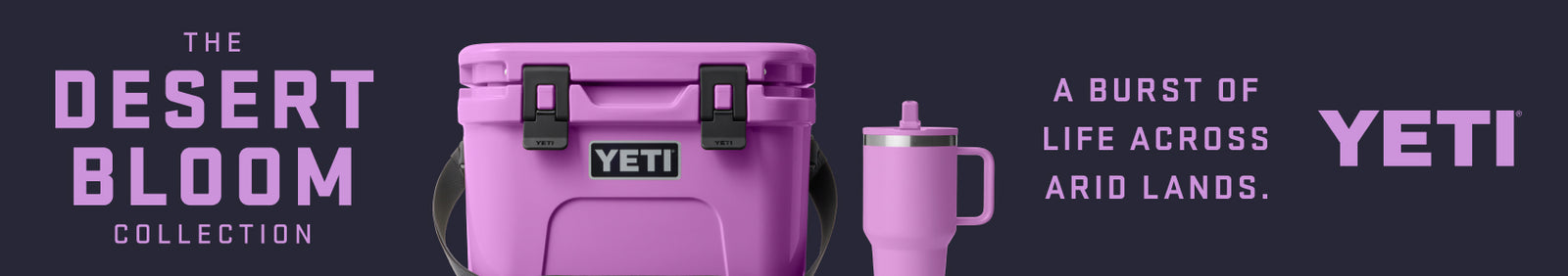 Graphic banner with shades of purple promoting YETI's newest limited edition color, Desert Bloom. 