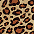 Leopard / S/M
