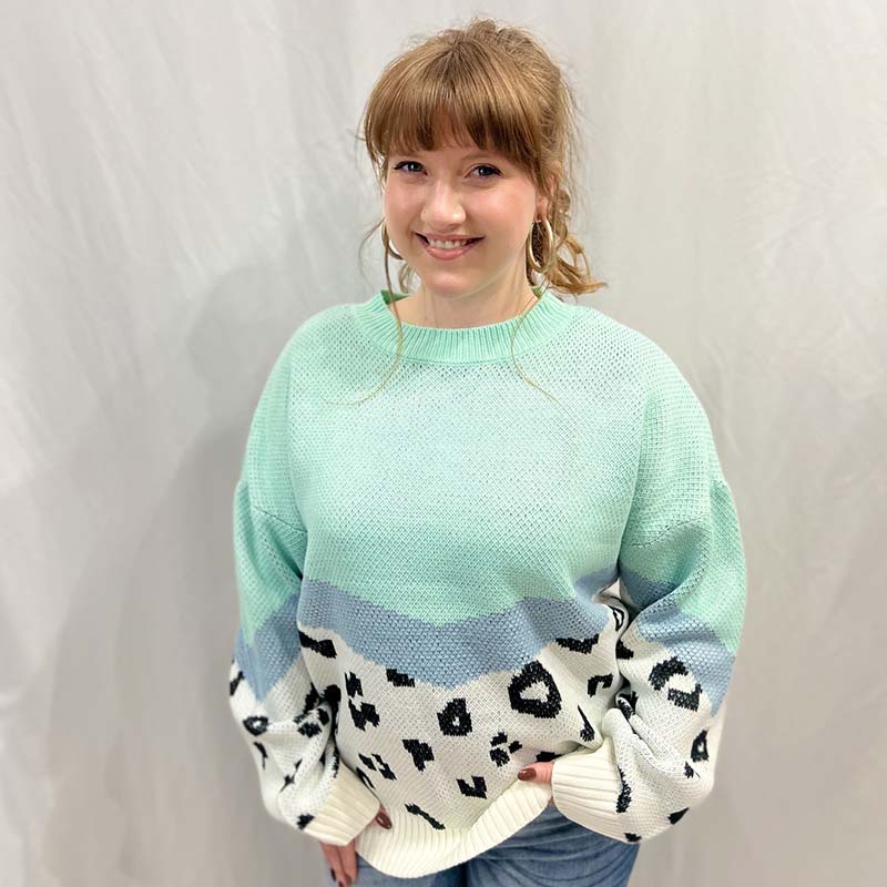 Chevron Animal Print Colorblock Pullover Sweater