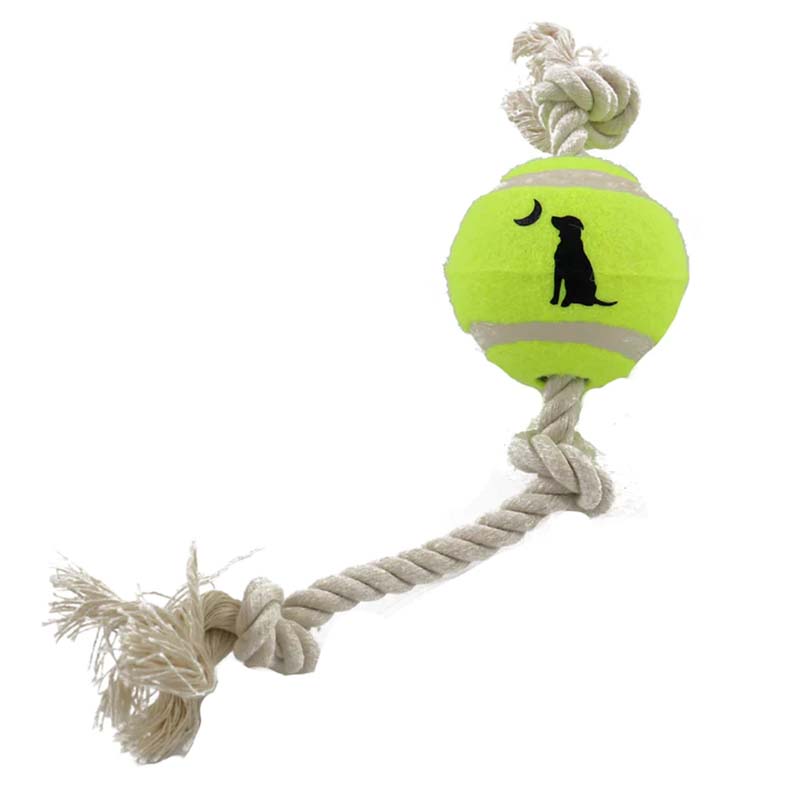Rope and Tennis Ball Toy